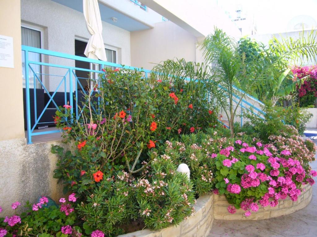Blue Oasis Gardens Apartment Limassol Exterior foto