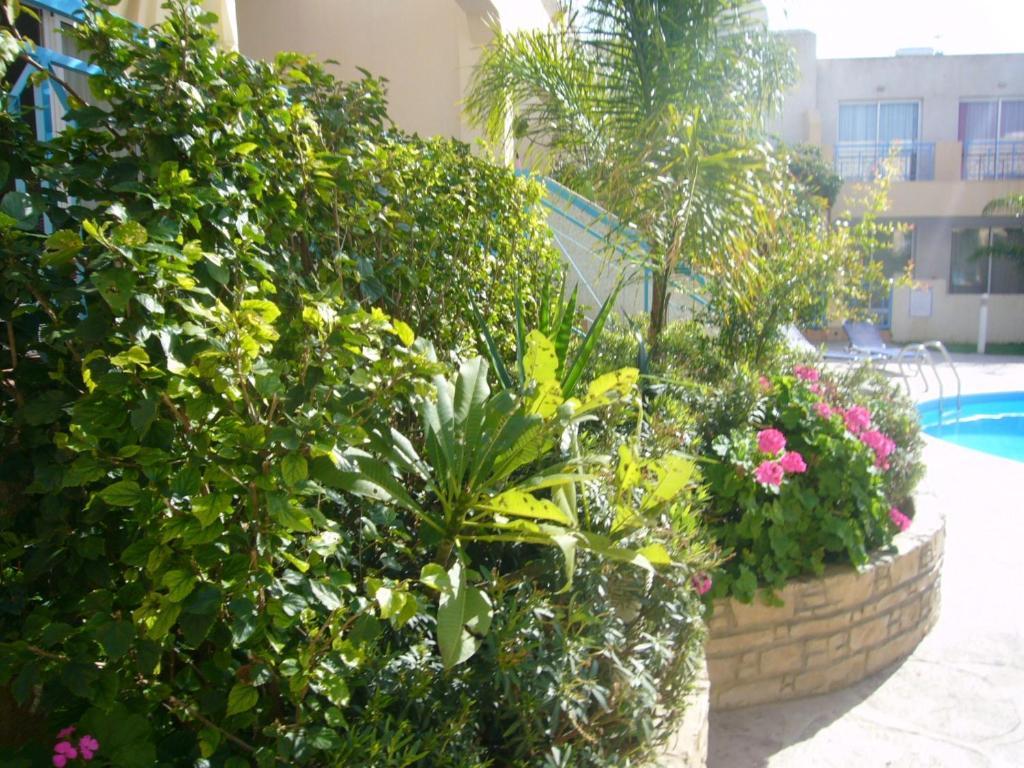 Blue Oasis Gardens Apartment Limassol Exterior foto