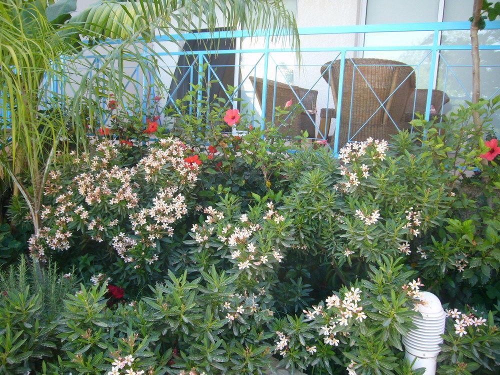 Blue Oasis Gardens Apartment Limassol Exterior foto
